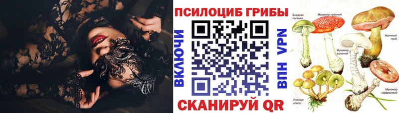 Псилоцибиновые грибы мицелий Вязники