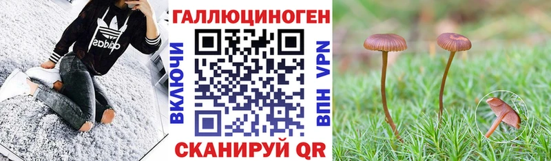 Купить  Вязники  Галлюциногенные грибы мицелий 