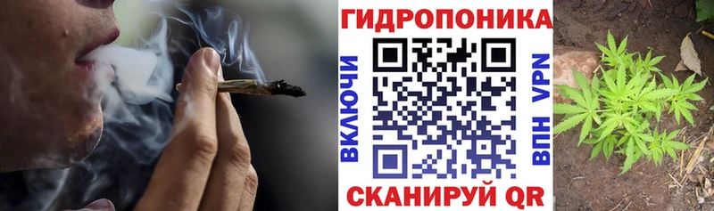 Каннабис сатива  Купить  Вязники 